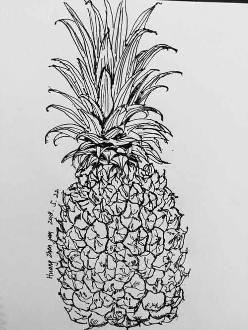 儿童画 写生 速写 线描 静物 蔬菜 水果 花卉 人物 水粉 油画棒 重彩