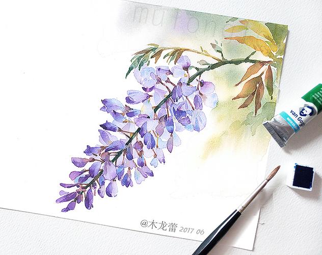 【紫藤萝】对你执着,一袭清新淡紫色|插画|商业插画|木龙蕾 - 原创