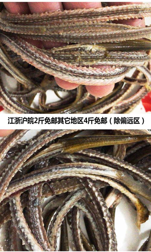 洪泽湖鲜活现杀野生黄鳝骨头 250g/份 新鲜鳝骨头 野生鳝鱼骨头