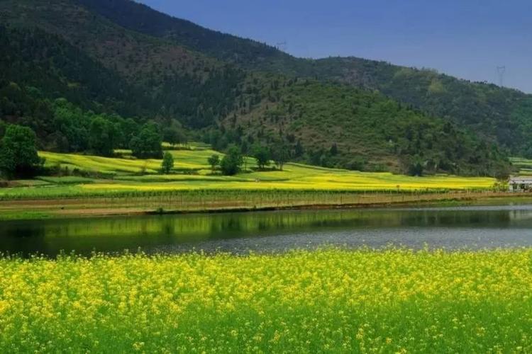 最美风景在我的故乡