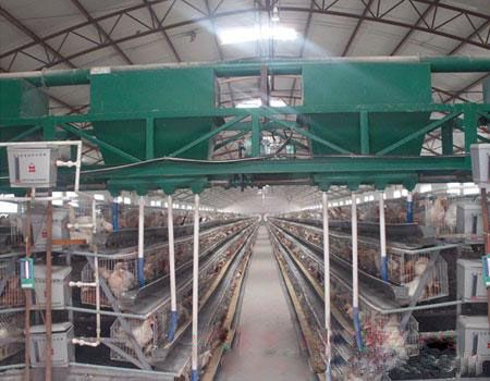 四层养鸡场电动喂料机