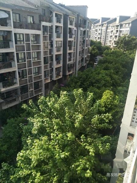 棠富园*两室 户型方正 采光好 出行方便