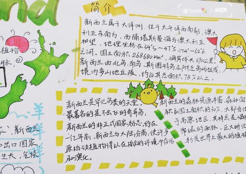 手抄报|旅游|新西兰|高中|地理|简单可爱_手抄报_地理
