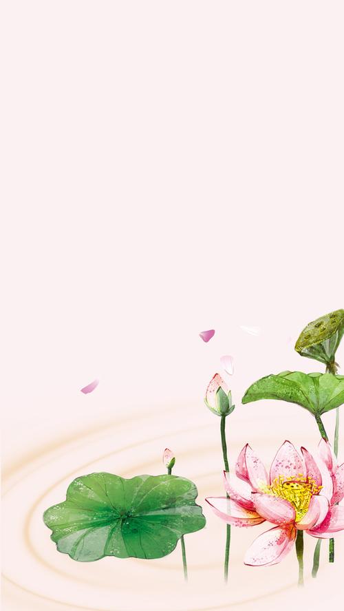 > 淡雅中国风荷花h5分层背景