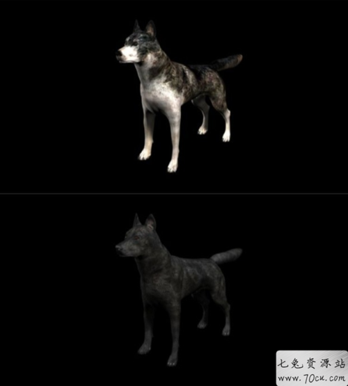 c4d 3d 47只犬科动物宠物狗狼材质贴图渲染三维素材模型合集