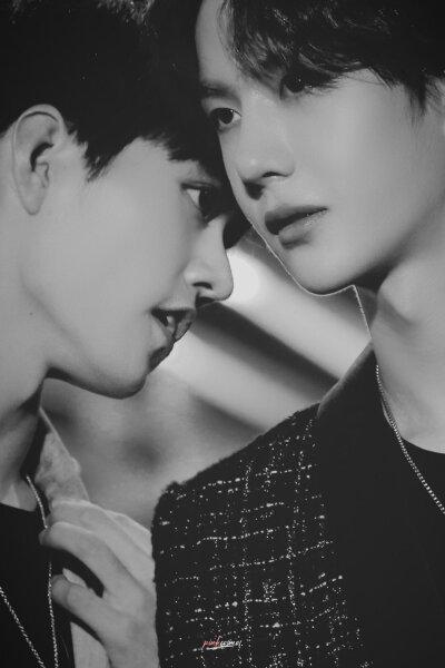 肖战王一博背景图