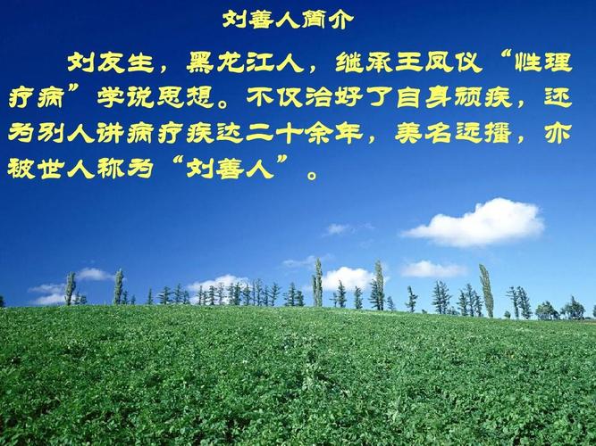 刘善人讲病文字版ppt