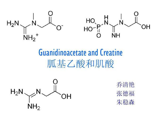 胍基乙酸
