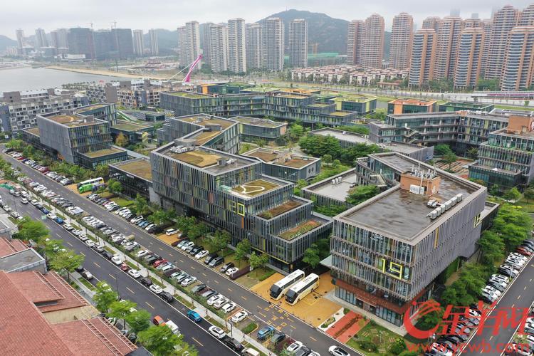 鸟瞰横琴澳门青年创业谷