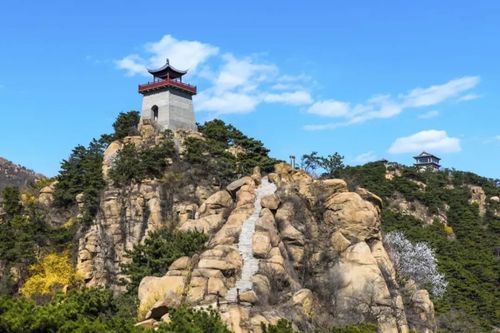 【自由行】5月10日陪妈妈莱芜香山赏芍药,摘樱桃.