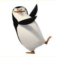  马达加斯加>超萌的卡通企鹅qq头像