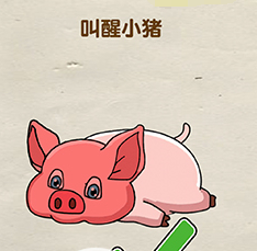 烧脑大师叫醒小猪