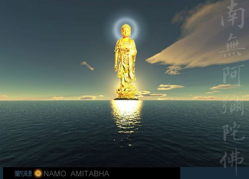 阿弥陀佛 :我本将心向明月,奈何明月照沟渠