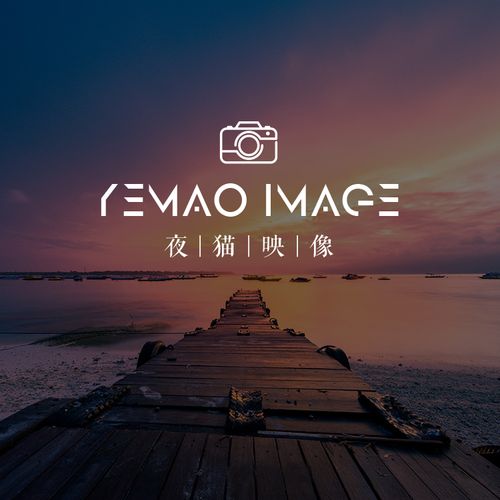 英文大气简约摄影师旅拍旅游照片logo防盗水印高清大牌风个性透明