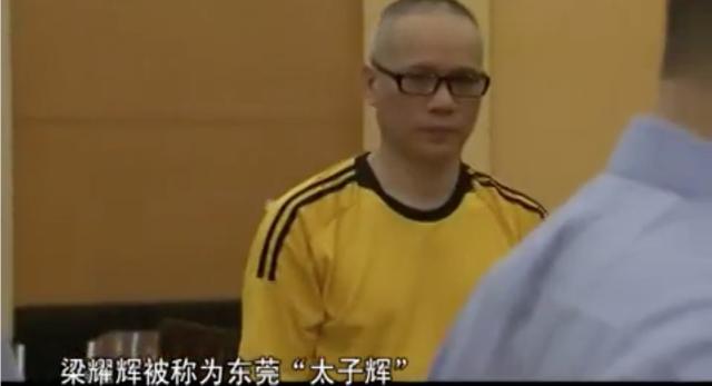 被控三宗罪,东莞五星酒店卖淫案主犯"太子辉"申诉被驳