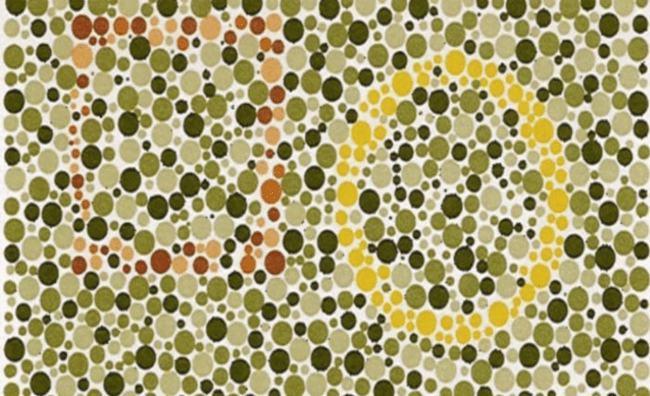 考驾照的6张色盲检测图若看不清第5张上的数字基本就是色盲