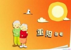 优秀作文:重阳节关爱老人