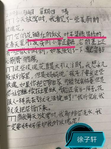 子轩观察很仔细,对玫瑰花的描写也很生动.