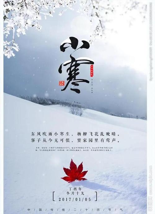 节气小寒祝福图片精选高清唯美独特带字文案新年送你暖心问候