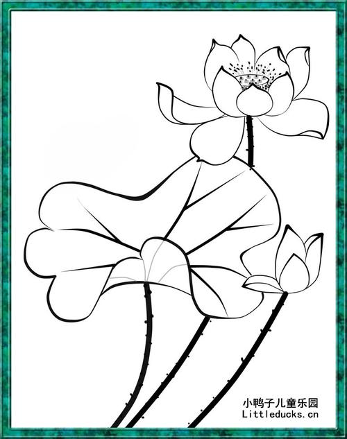 怎样画简单的荷花