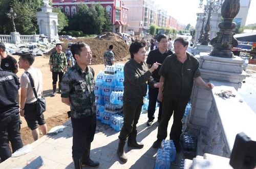 全市要闻高环深入到伊春区翠峦区乌马河区检查指导抢险救灾工作