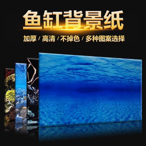 喜欢鱼缸背景纸 水族 立体的还喜欢