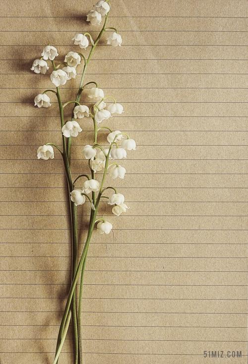 小清新文艺春天花瓶背景图片