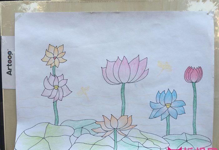 漂亮的儿童画作品图片,夏日荷花