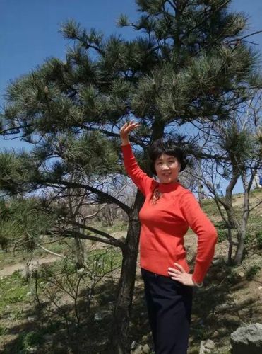 要学那泰山顶上一青松,挺立屹立傲苍穹.