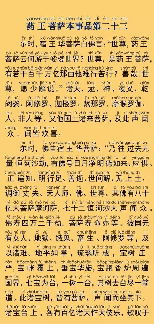 妙法莲华经(药王菩萨本事品第二十三)