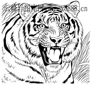 虎第四版-白描图-虎头-4-老虎国画白描-线描图,白描图