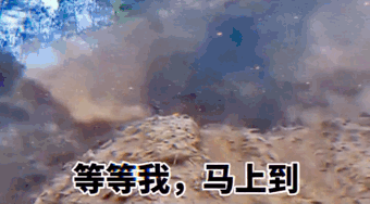 可爱沙雕表情包:不关我的事,骚的都是他们