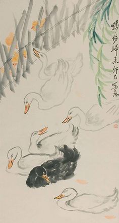 鸭子