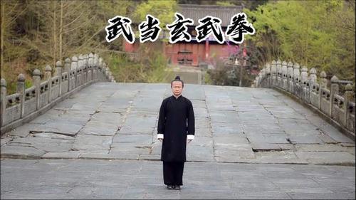 武当希真玄武拳演练,武当武术