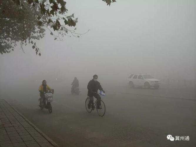 早晨8点,我市能见度不足200米 大雾的出现给交通出行带来影响 高速