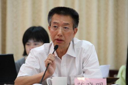 陈晓明