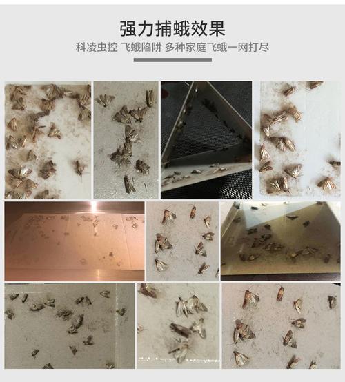 米面蛾诱捕器蛾子粘捕器粉蛾小飞虫米虫飞蛾灭米蛾驱蛾蚋蛾蠓衣蛾