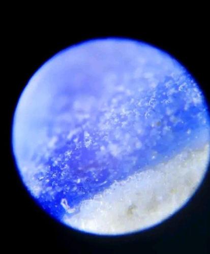 元青花苏麻离青断面微观气泡特征