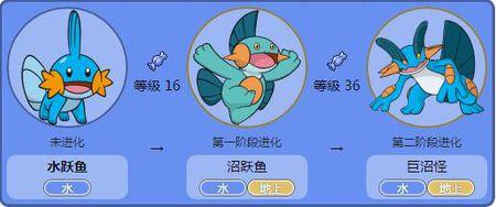 no.259(沼跃鱼):水跃鱼16级进化. no.260(巨沼怪):沼跃鱼36级进化.
