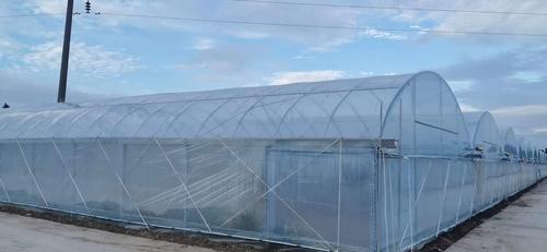 岳阳连栋大棚结构图片大全