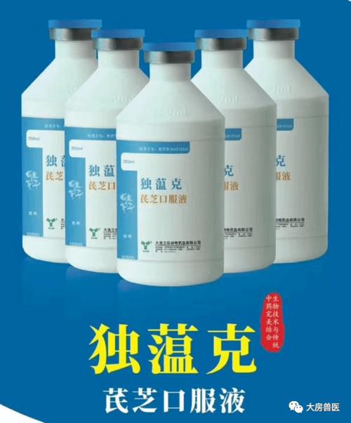 如何判断鸡群得了安卡拉病毒?