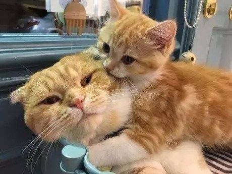 男生都想要一个这样粘人的女票