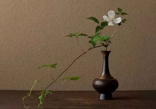 物哀,幽玄,侘寂,日式传统美学到底想表达什么?