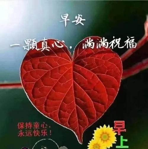 超级漂亮的早上好暖心问候语 腊月清晨早安问候语表情