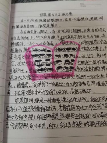 读后感