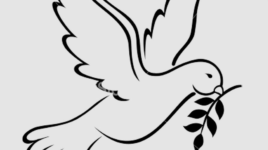 漂亮的和平鸽怎么画?