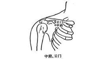 法:当手叉腰时,在锁骨外端下缘出现一个三角形的凹陷,其中心即是云门