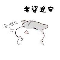 给老婆晚安说说配图 关于老婆晚安心语的配图_微信头像图片大全