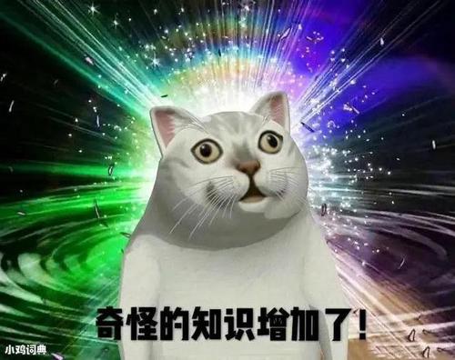 2020微博热梗大赏|凡尔赛|网红|逆行者|名媛_网易新闻