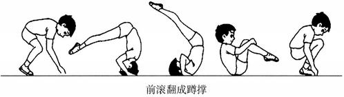 请你谈谈前滚翻的动作技术和保护与帮助方法? 2.